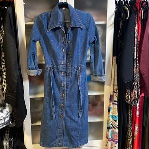 Rumble Seats vintage denim dress